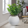 Vaso Bianco Resina | Levante Shop