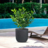 Vaso Grigio Resina | Levante Shop