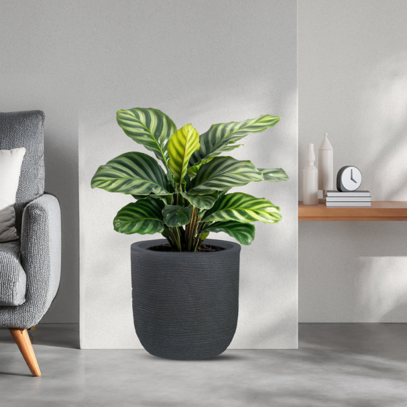 Vaso Grigio Resina | Levante Shop