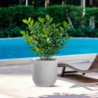 Vaso Raffaello Bianco ø35xH34 cm Polietilene | Levante Shop