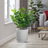 Vaso Raffaello Bianco ø35xH34 cm Polietilene | Levante Shop