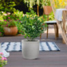 Vaso Raffaello Beige ø35xH34 cm Polietilene | Levante Shop