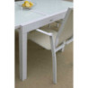 Poltrona alluminio e textilene Cleveland bianco opaco 56,5x65x93