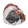 Cane resina nero con gatto, cappello e LED 35x34x24,6 cm