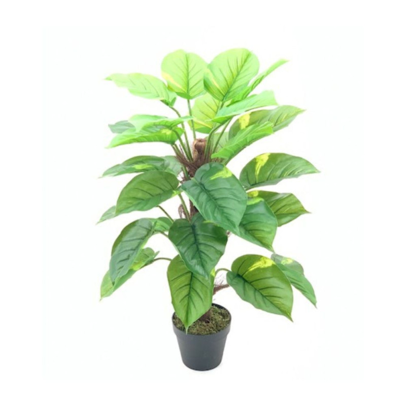 Pianta ornamentale Pothos 73 cm | levante shop