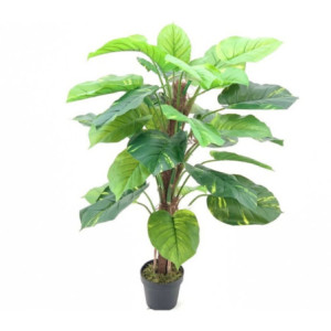 Pianta ornamentale Pothos a foglie verdi con vaso 120 cm