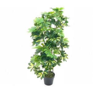Pianta ornamentale Schefflera a foglie verdi con vaso 96 cm