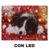 Set di 2 Quadri LED Legno Cane Multicolor 20x15x25 cm Decorazione