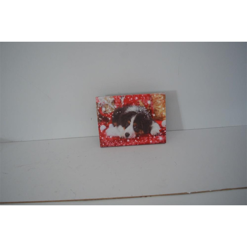 Set di 2 Quadri LED Legno Cane Multicolor 20x15x25 cm Decorazione