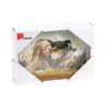 Portafoto Cheers Glitter 10x15 multicolor - vivace e decorativo