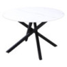 Tavolo Rotondo Astor Ø120x75 cm Top Ceramica Bianco Marmo