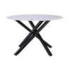 Tavolo Rotondo Astor Ø120x75 cm Top Ceramica Bianco Marmo