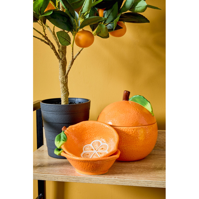Biscottiera Agrumi 1300cc in Ceramica Amica