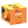 Biscottiera Agrumi 1300cc in Ceramica Amica