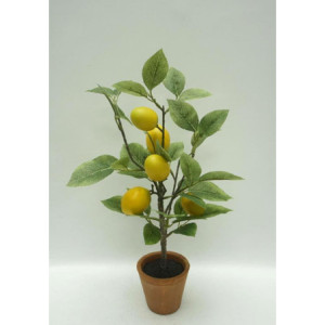 Set 6 Piante limone artificiale in vaso terracotta H43cm decorative
