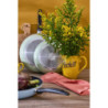 Set 12 padelle Rural Green alluminio 24-28cm fondo induzione