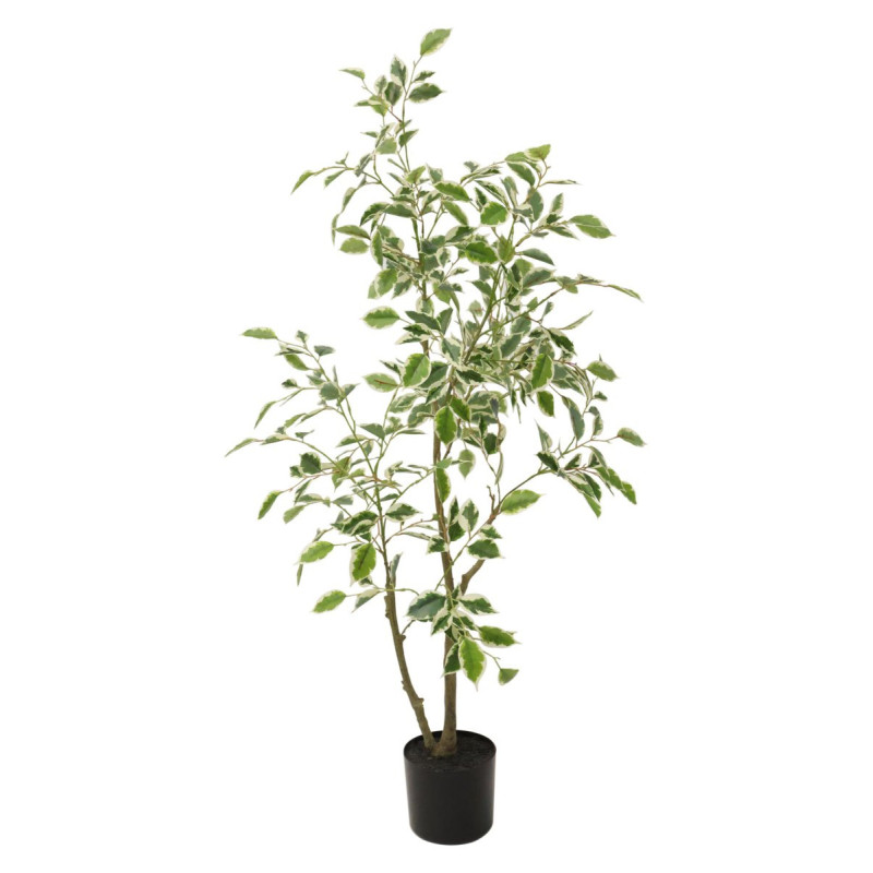 Set di 4 piante ficus sintetico Real Touch H120cm vaso verde bianco