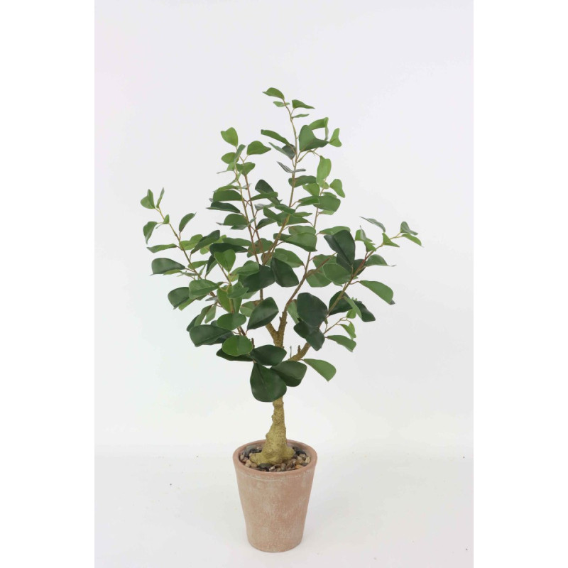 Set di 4 piante ficus sintetica Real Touch H80cm vaso terracotta
