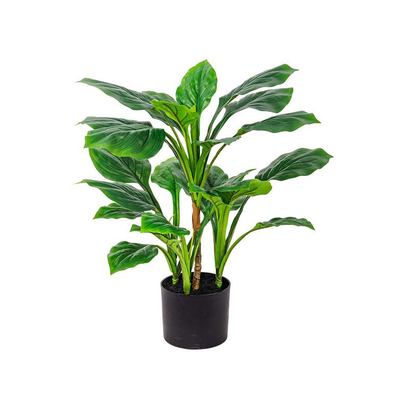 Set di 6 piante Real Touch Hosta H60cm vaso verde decorazione
