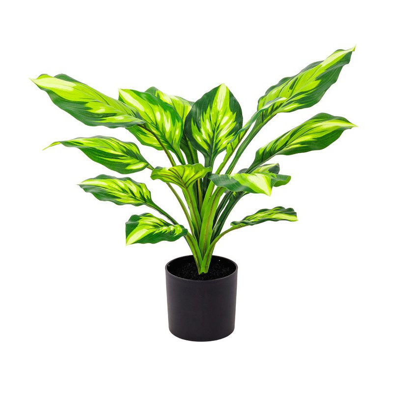 Set di 6 piante sintetiche Hosta Real Touch H40cm vaso verde deco