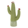 Cactus cm 13x7x25