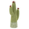 Cactus cm 13x7x25