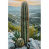 Stampa Su Tela Laccata Con Cornice Cactus -a- cm 60x4x90