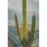 Stampa Su Tela Laccata Con Cornice Cactus -b- cm 60x4x90