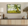 Stampa Su Tela Laccata Con Cornice Foresta cm 90x4x60