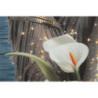Stampa Con Led Su Tela Laccata Con Cornice Venus cm 70x4x100
