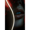 Stampa Con Led Su Tela Butterflies cm 60x3,5x90 (applicazione 3d Acrilico)