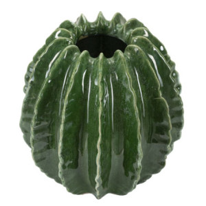 Zoom Vaso Cactus Ball cm ø 23,5x24,5
