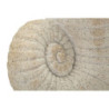 Vaso Shell Sand -a- cm 33x19x23 (apertura cm ø 13)