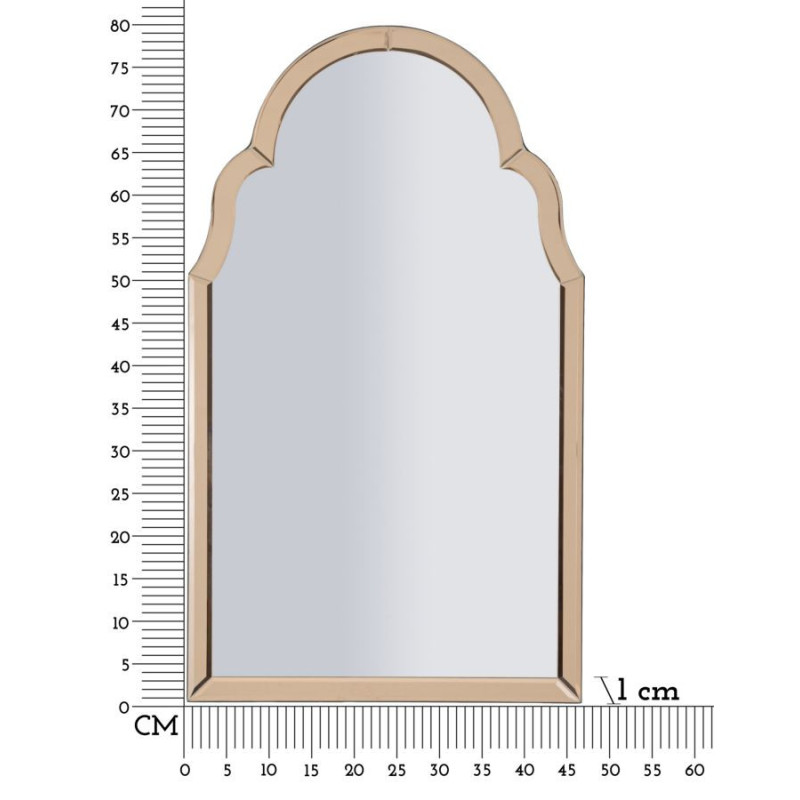 Specchio Da Muro Tangeri Rosa cm 47x1x80 (misura Specchio cm 41x74)