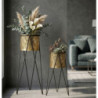 Drak Coppia H 46 cm | Fioriere e Vasi | Levante Shop