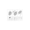 Sedia A Dondolo Ibiza Senape cm 66x88x80 (altezza Seduta cm 38)