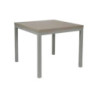 Tavolo allungabile Monster 90x90 struttura alluminio e piano larice grigio