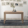 Tavolo allungabile Firenze 110x70 cn allunga da 40 colore olmo