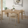 Tavolo allungabile Mono Core con allunga centrale 160x72.7x90.4 cm colore rovere