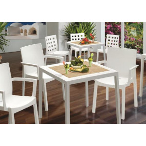 Set 4 sedie Ischia 3 colori 57X53X83