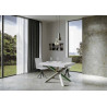 Tavolo allungabile 120/380x90 cm Volantis telaio Multicolore 4/A
