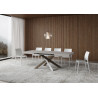 Tavolo allungabile 120/380x90 cm Volantis telaio Multicolore 4/C