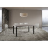 Tavolo allungabile 160/420x90 cm Everyday Premium telaio Antracite