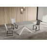 Tavolo allungabile 120/224x90 cm Niket telaio Bianche