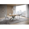 Tavolo allungabile 160/260x90 cm Versalux scortecciato telaio Multicolore 4/A