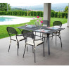 Set Tavolo pieghevole + 2 Sedie Intra MOIA grigio antracite