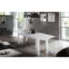 Tavolo allungabile Jesi – 160/210x75x90 – Larice Bianco