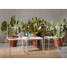 SET DUE TAVOLINI ARGO TECNOPOLIMERO SCABDESIGN MADE IN ITALY