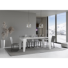 Consolle allungabile 90x40/300 cm Naxy