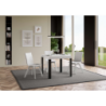 Tavolo allungabile 90x90/246 cm Linea telaio Antracite